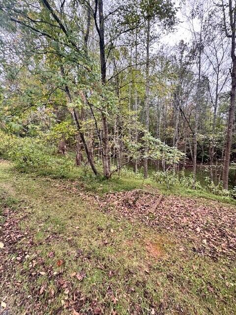 0 Old Mill Drive Hardy, VA 24101 - Photo 2 of 4 a backyard of a house with lots of green space