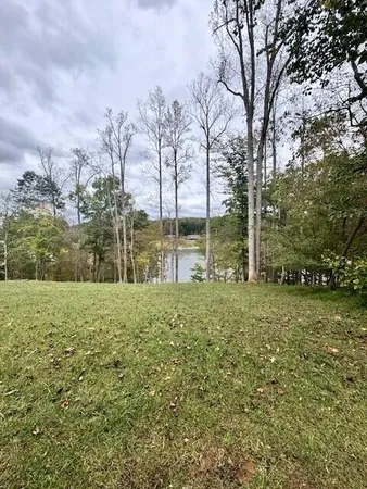 a view of a garden with trees