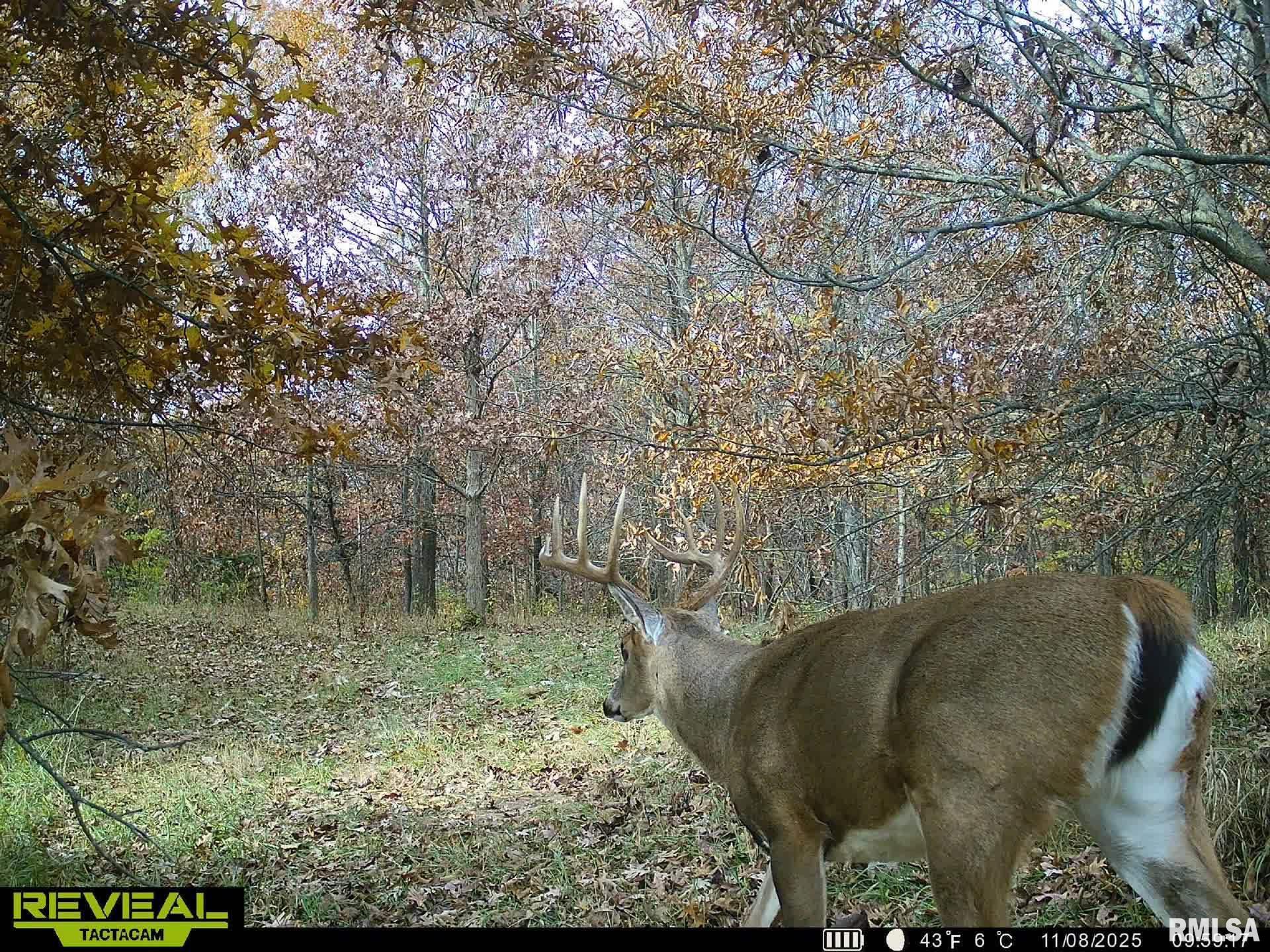 Rr Flower Creek Road Plymouth, IL 62367 - Photo 22 of 30
