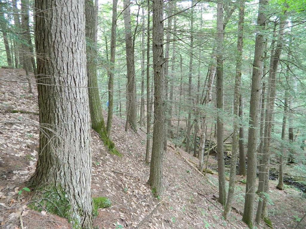 633 River Road Hiram, ME 04041 - Photo 9 of 14 Photo