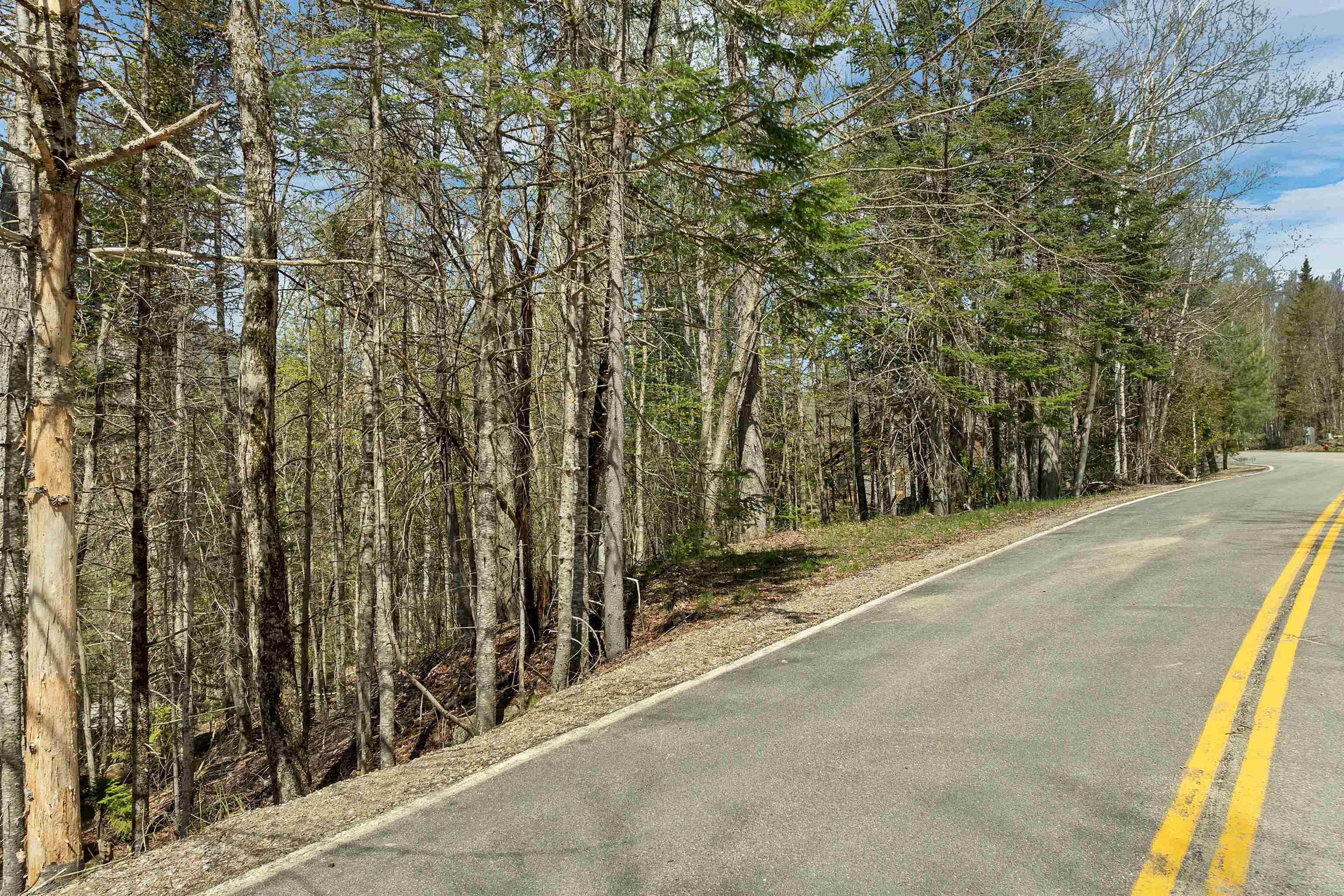 109 Snow's Mountain Road Waterville Valley, NH 03215 - Photo 18 of 18 Gallery Image 18
