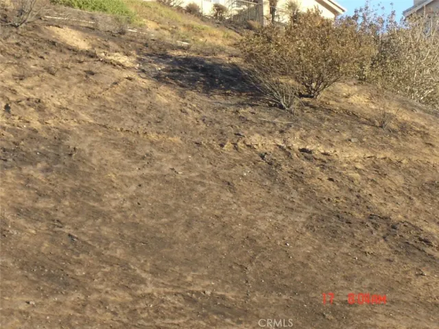 a view of a dry yard with a tree