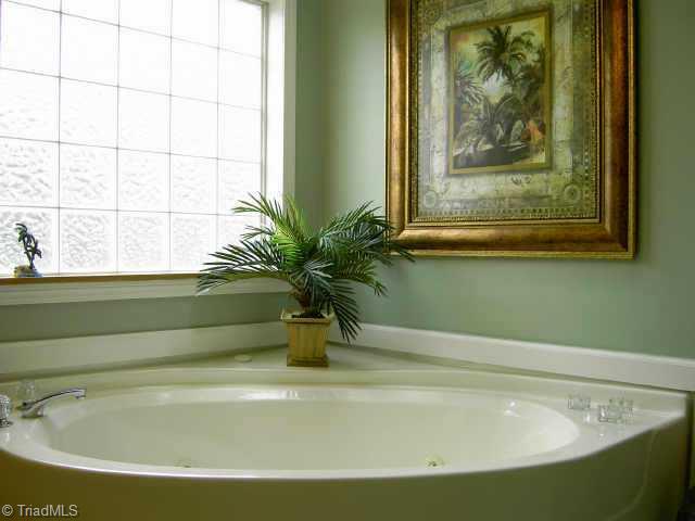 1221 Thayer Road Trinity, NC 27370 - Photo 3 of 5 Other. Master Bath with garden tub,block glass,skylight,seperate shower and double bowl sink.