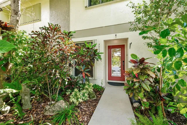 a view of a pathway with plants and brick walls