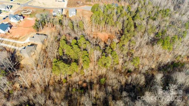 a view of yard along with trees