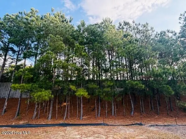 $257,000 | 2181 Palm Pointe Northeast, Leland, NC 28451