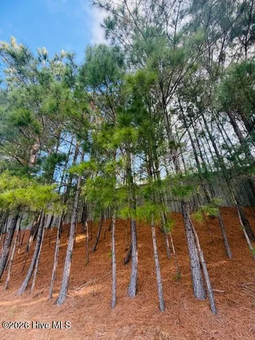 $257,000 | 2181 Palm Pointe Northeast, Leland, NC 28451