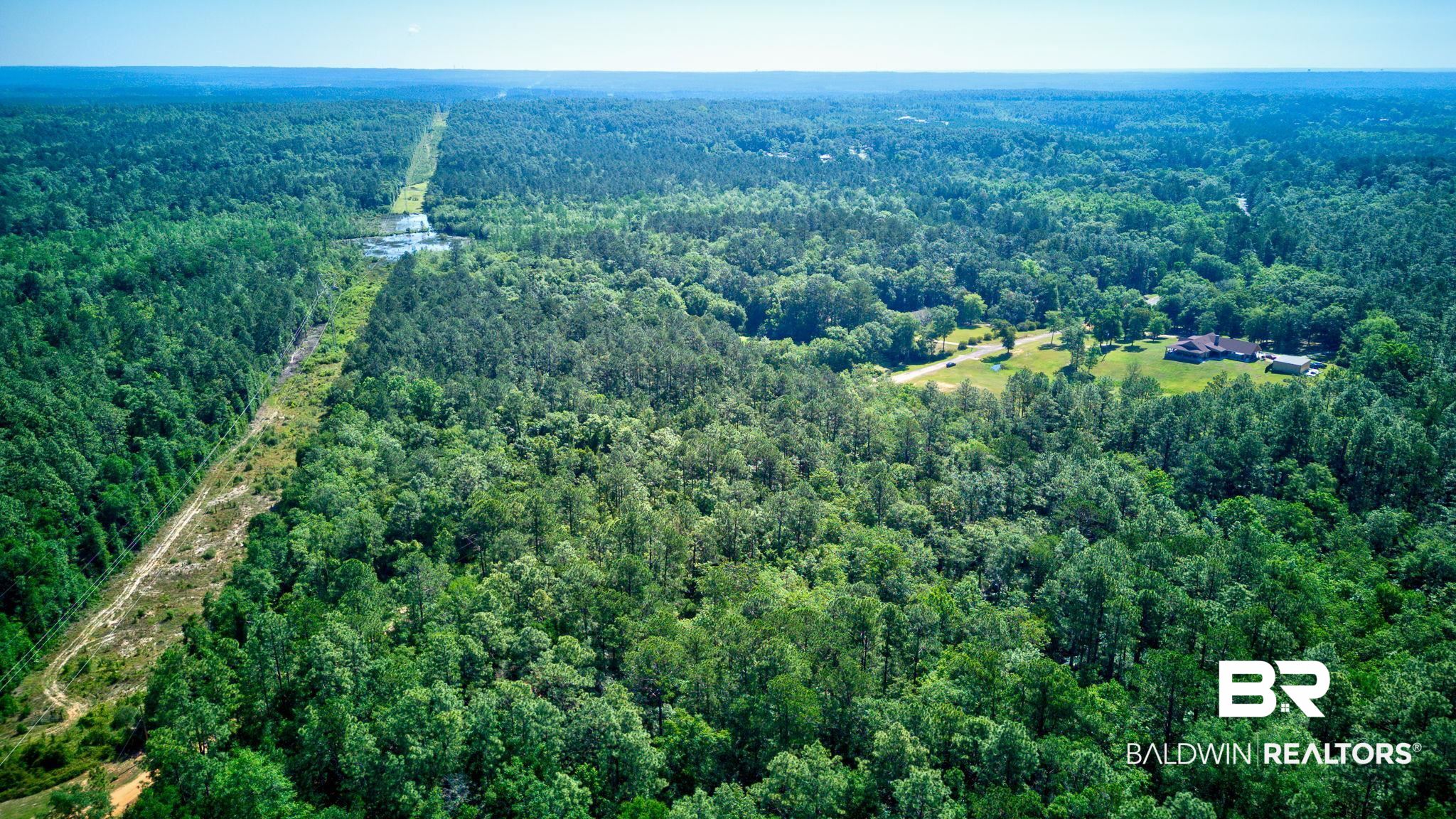 0 Evans Road Chunchula, AL 36521 - Photo 8 of 19