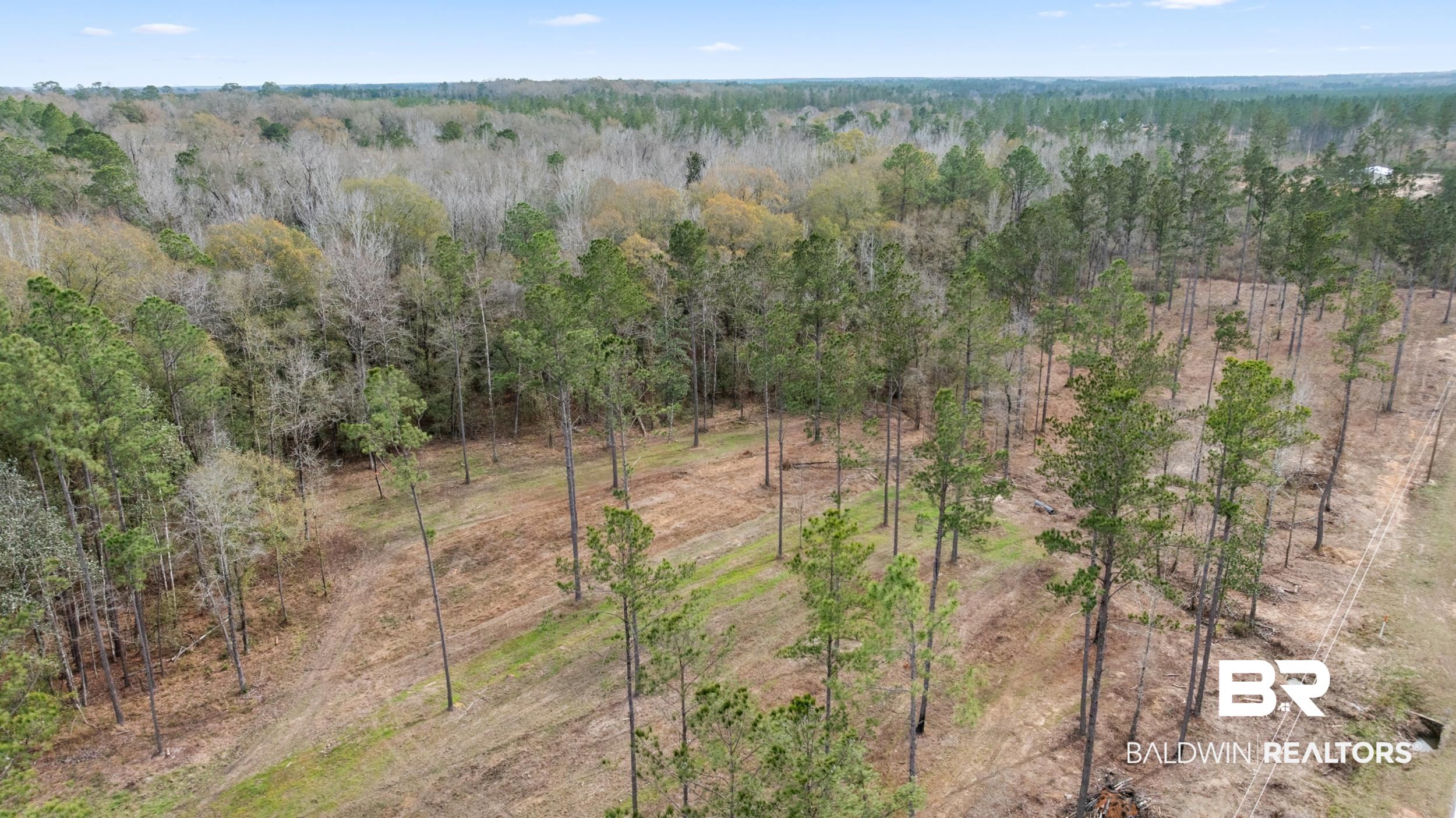 0 Lottie Road Atmore, AL 36502 - Photo 16 of 17 Drone / aerial view of a forest
