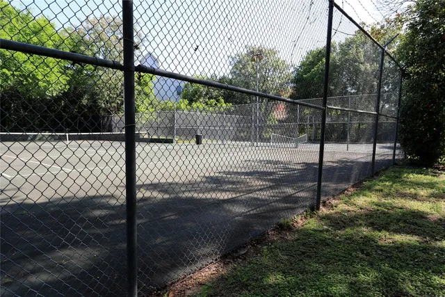 a view of a trees in a yard