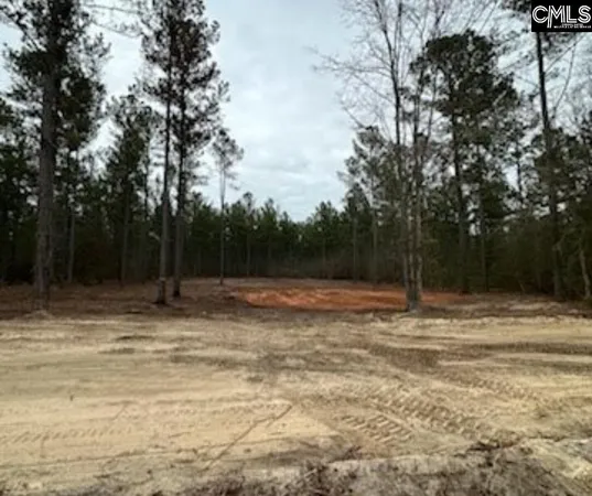 $30,000 | 7 B Otis Baughman Sr Road, Wagener, SC 29164