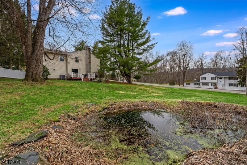 3 June Walk Sparta, NJ 07871 - Photo 28 of 33