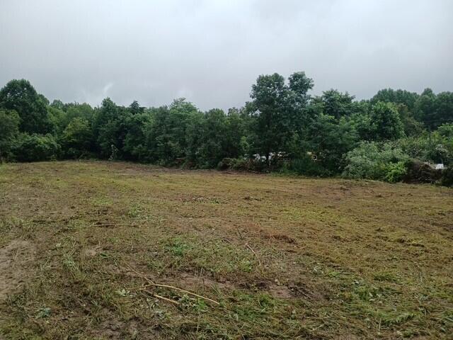 4821 Goddard Road Wallingford, KY 41093 - Photo 2 of 2