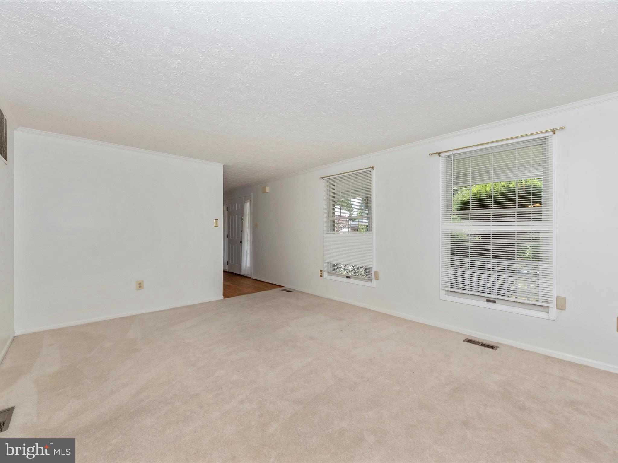 1127 Netherlands Court Silver Spring, MD 20905 - Photo 10 of 53 LIVING ROOM