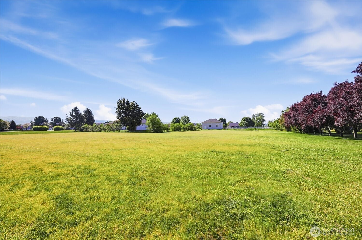 221 Shane Porter Road Walla Walla, WA 99362 - Photo 33 of 38 a view of an ocean and with lots of trees