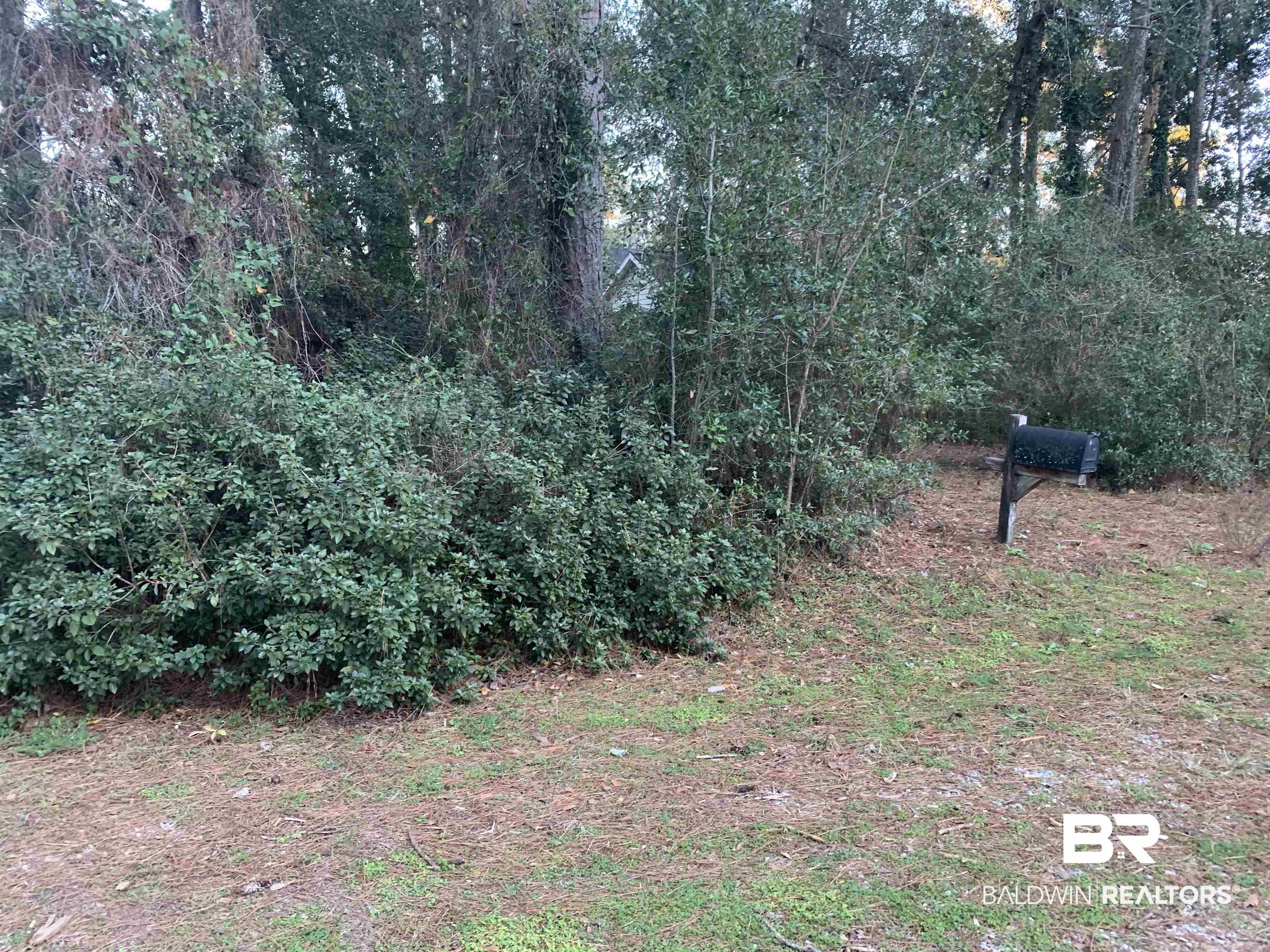 128 Ray's Lane Daphne, AL 36526 - Photo 3 of 5