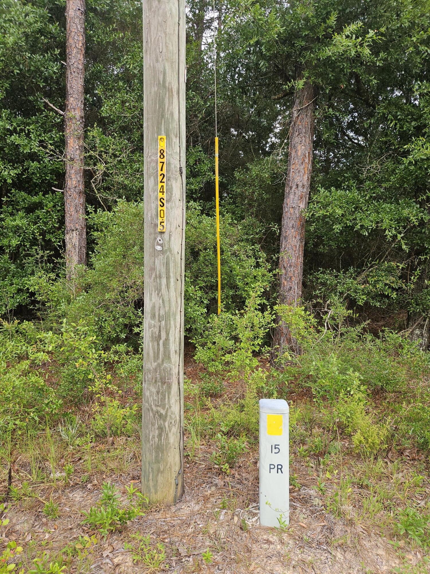 1.12-acres Possum Ridge Road Crestview, FL 32539 - Photo 8 of 8 20260609_083024