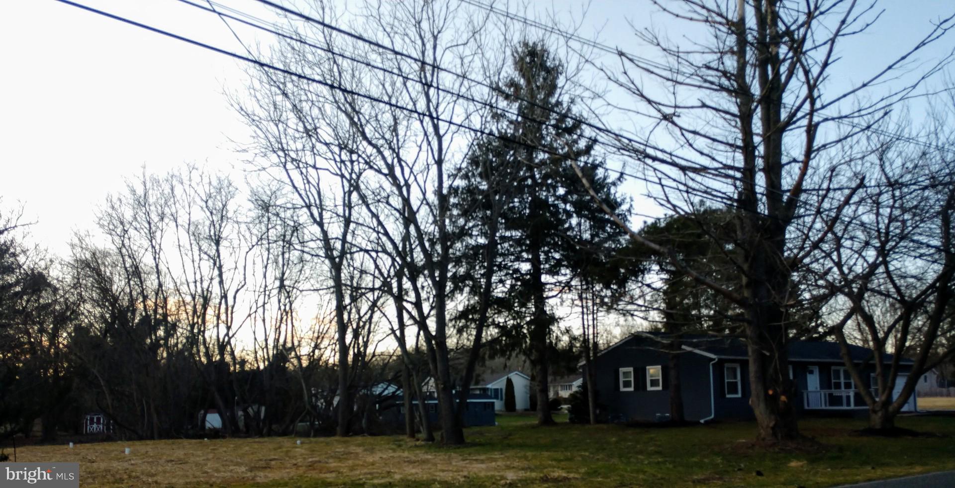 131 Dealtown Road Elmer, NJ 08318 - Photo 8 of 25