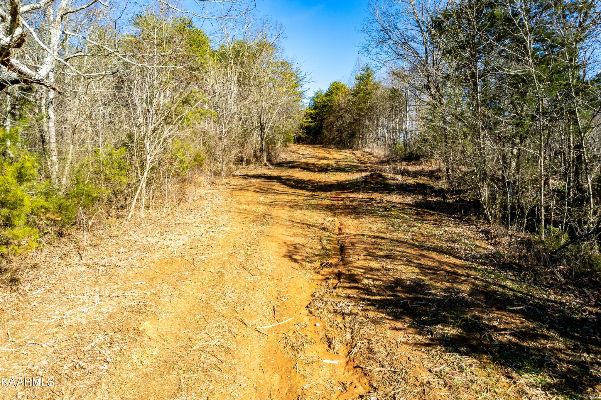 0 Prospect Church Road Loudon, TN 37774 - Photo 5 of 28 Gallery Image 5