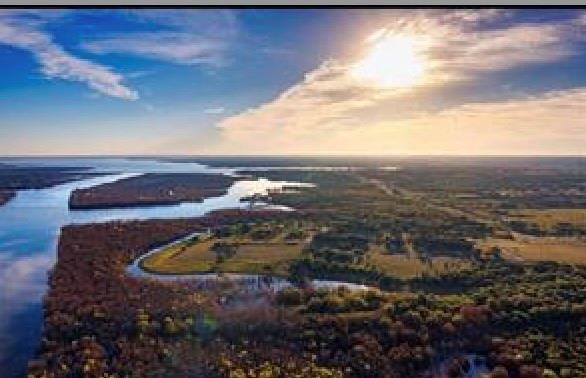 86 Post Oak Road Dodd City, TX 75438 - Photo 10 of 13