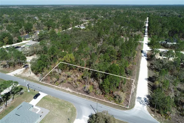 $60,000 | 0 Wood Owl Avenue, Brooksville, FL 34614