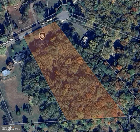 a view of a tree with a yard