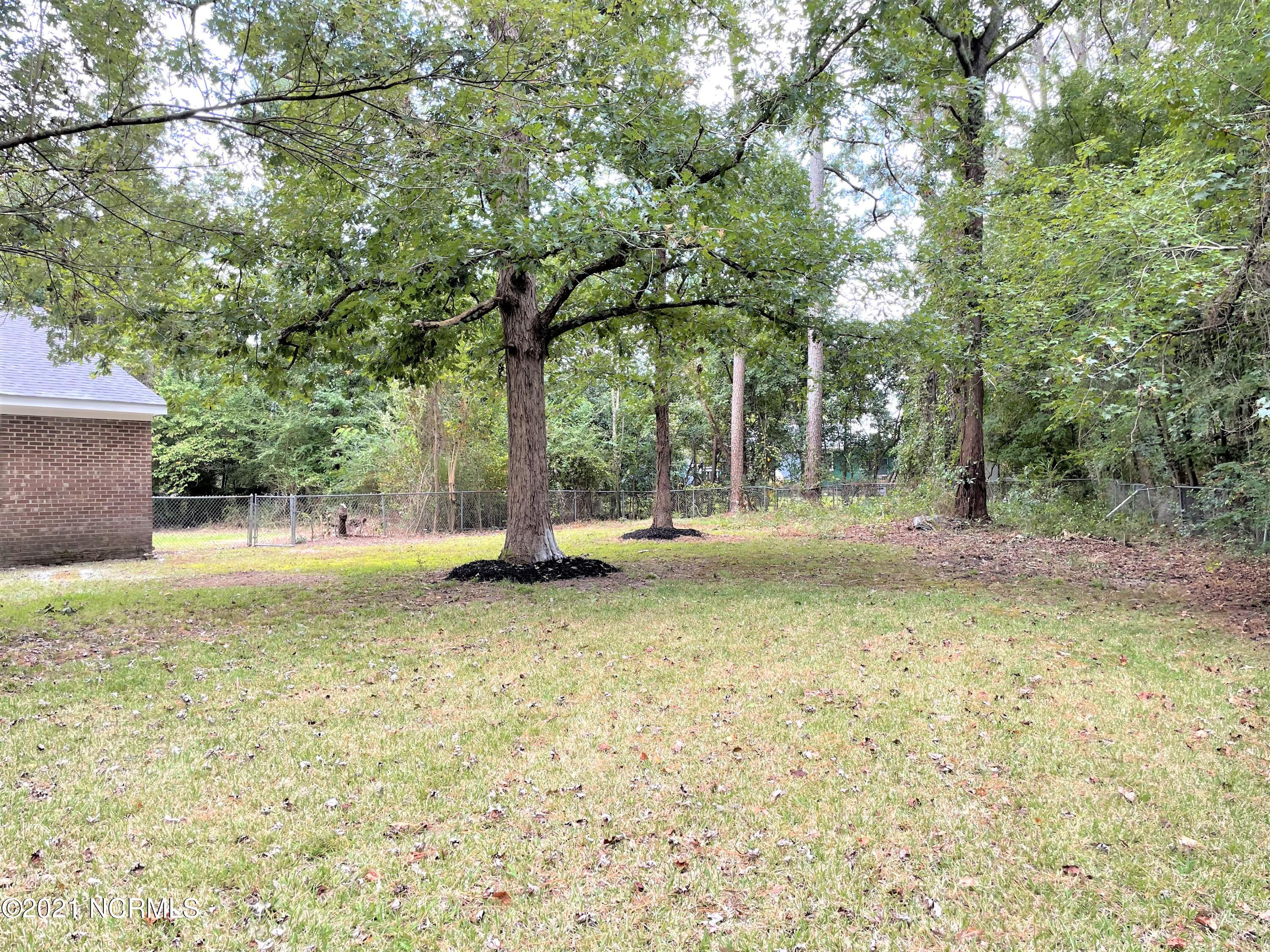1285 Old Maplehurst Road Jacksonville, NC 28540 - Photo 30 of 32 backyard 2