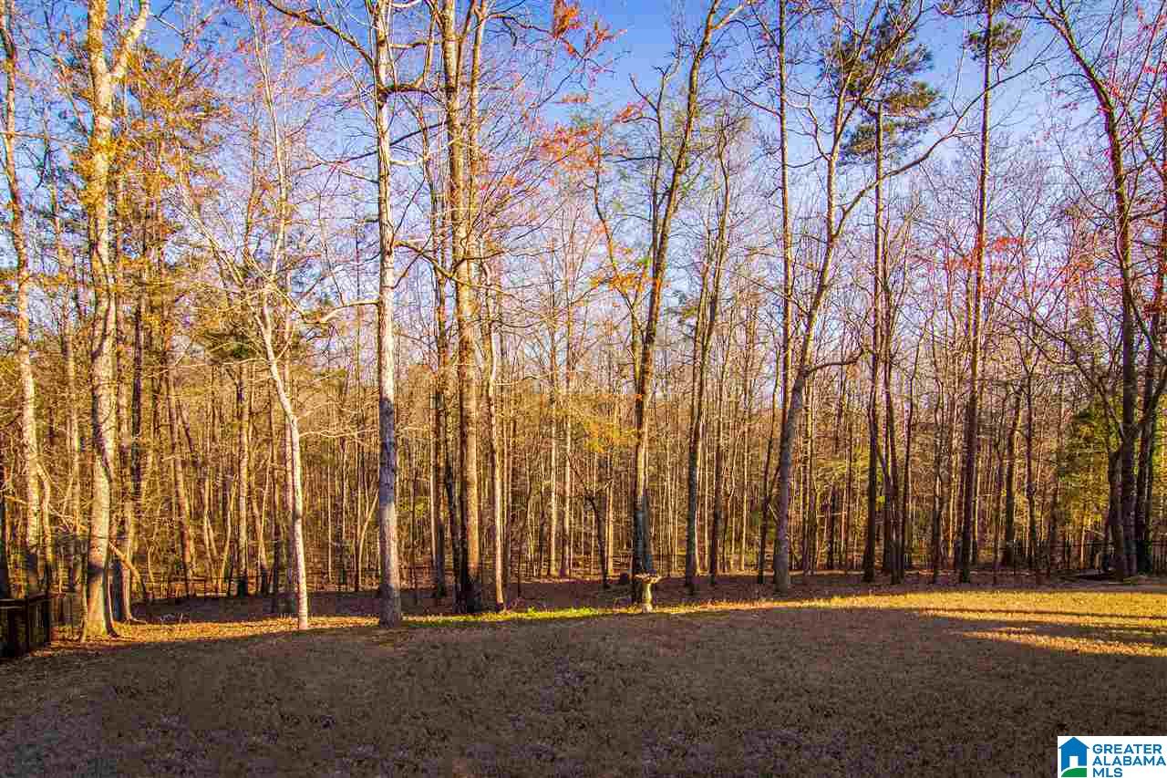 1040 Parkwood Road Birmingham, AL 35242 - Photo 40 of 49