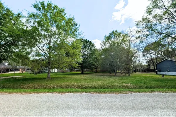 a view of a park with large trees