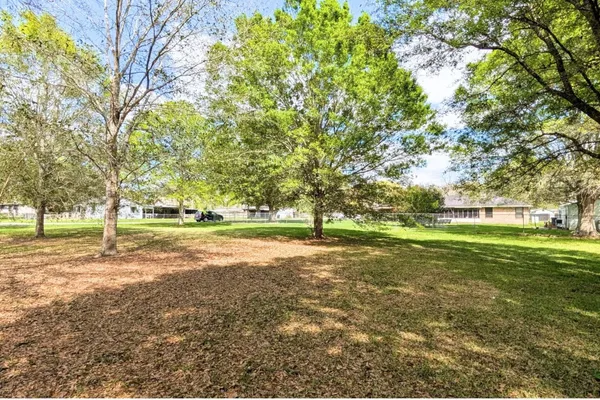 a view of a field with trees