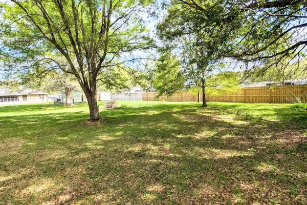 a view of a yard with plants and large trees