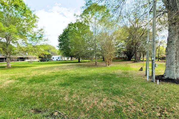a view of field with trees