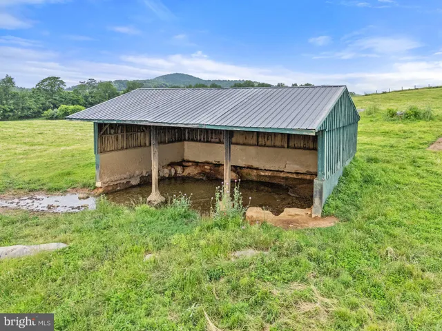 a view of a field with an ocean