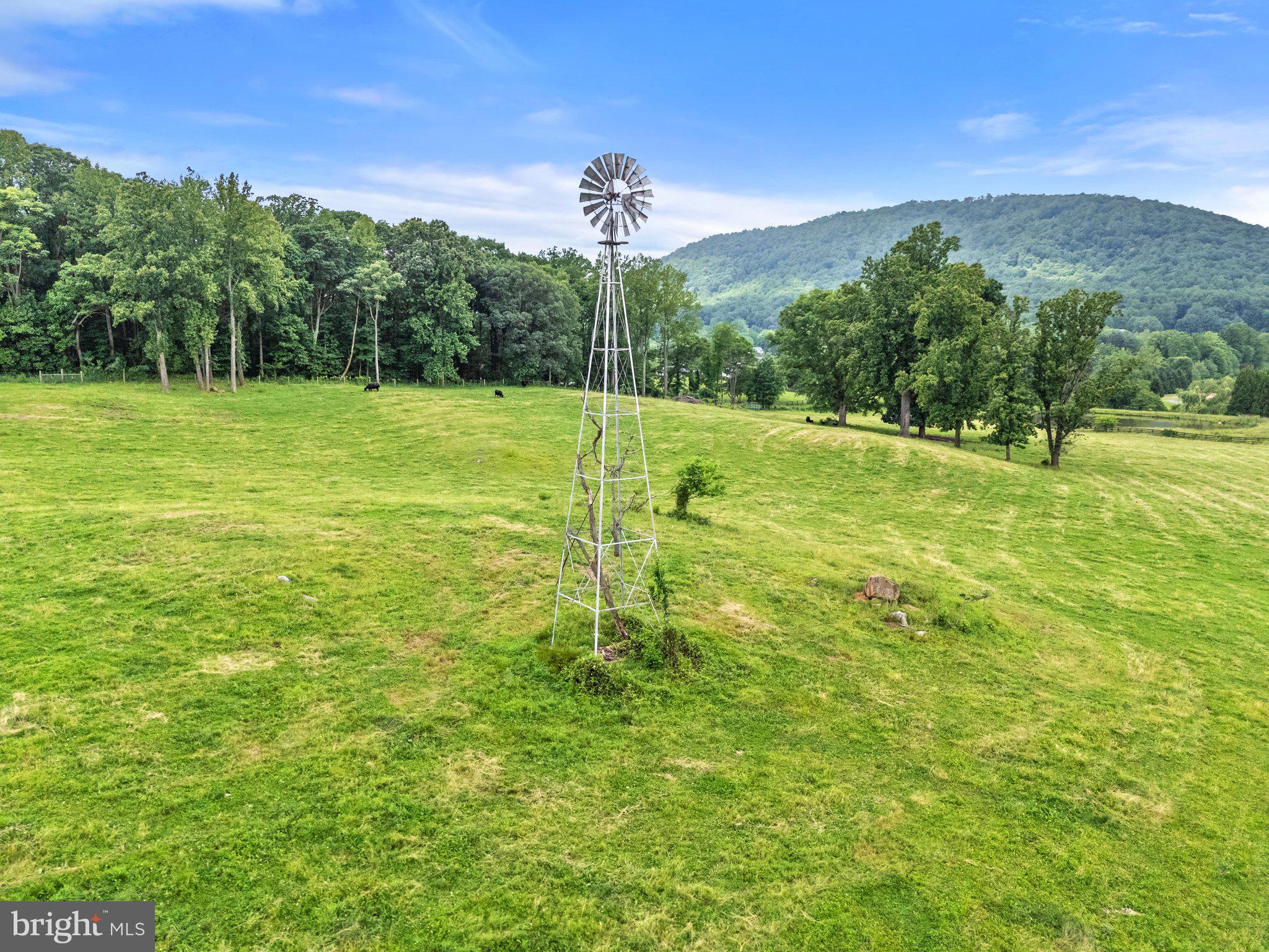10674 Ada Road Marshall, VA 20115 - Photo 20 of 35 a view of a field with a tree in the background