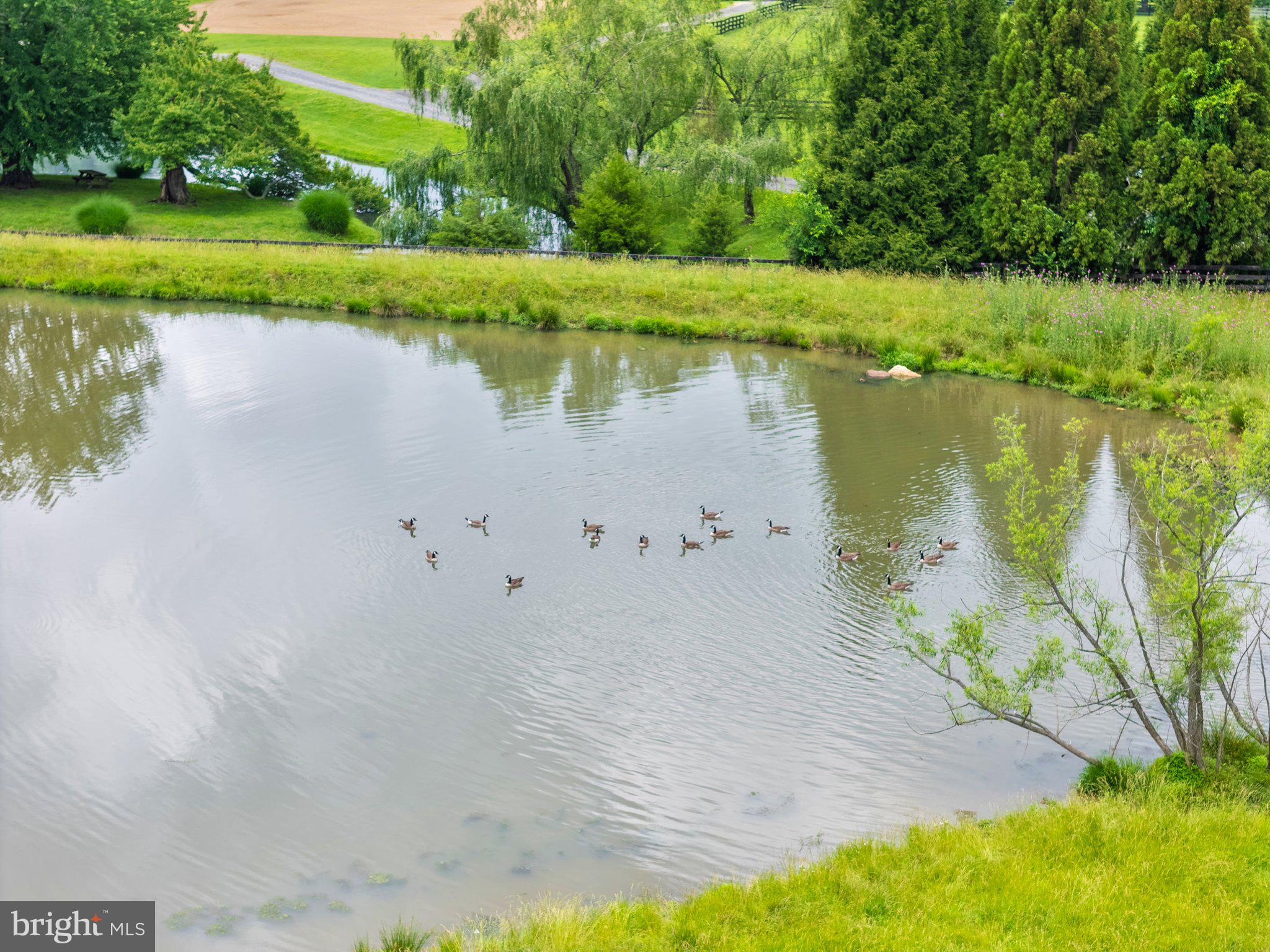 10674 Ada Road Marshall, VA 20115 - Photo 23 of 35 a view of a lake with a yard