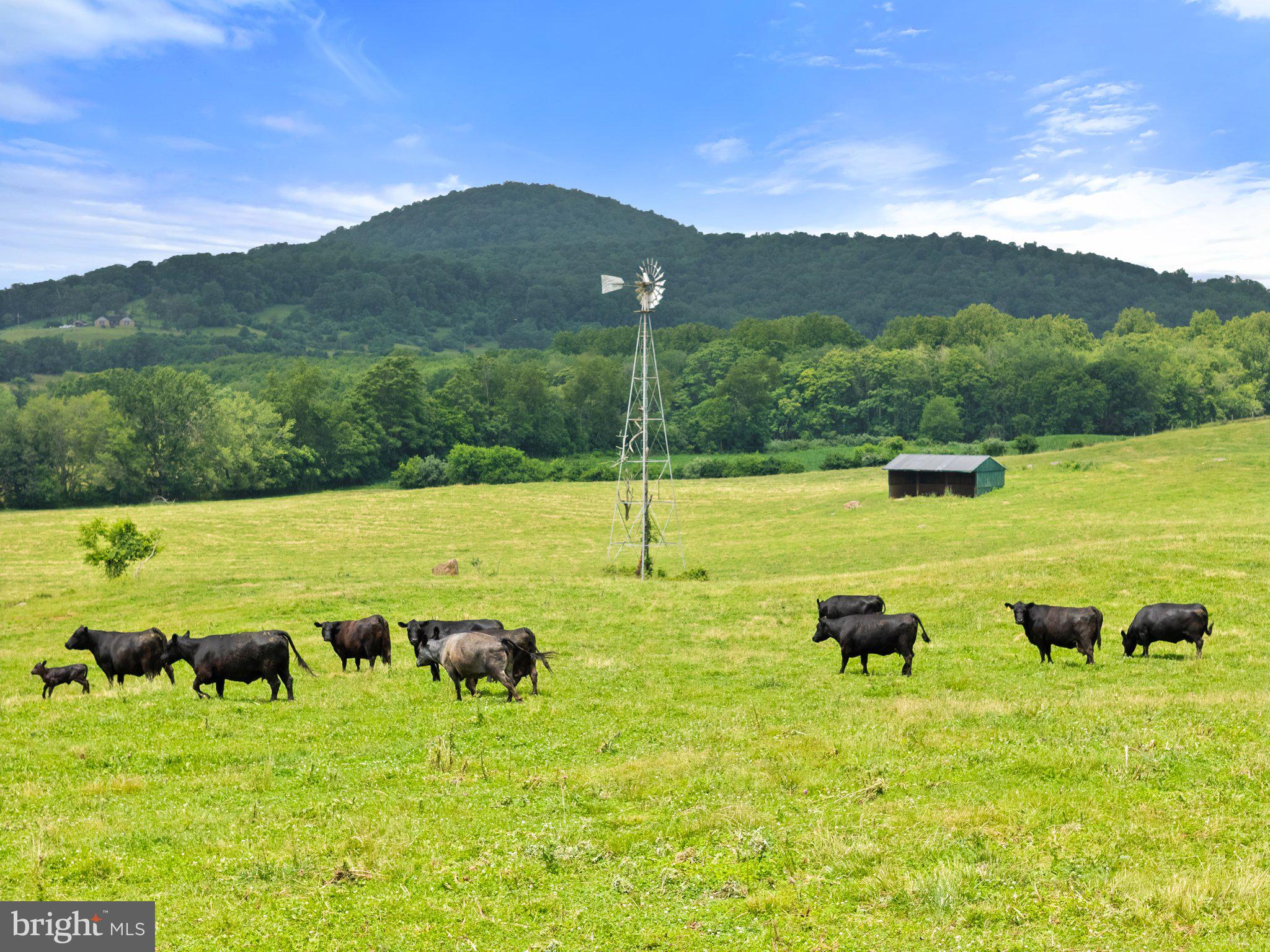 10674 Ada Road Marshall, VA 20115 - Photo 27 of 35 a view of a garden