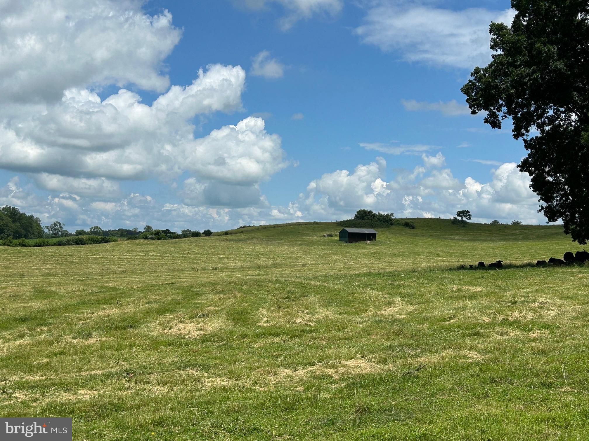 10674 Ada Road Marshall, VA 20115 - Photo 4 of 35