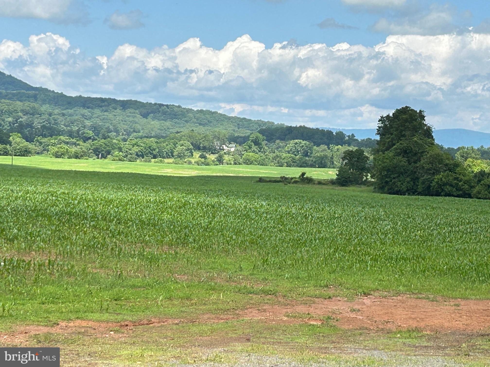 10674 Ada Road Marshall, VA 20115 - Photo 5 of 35 a view of a city