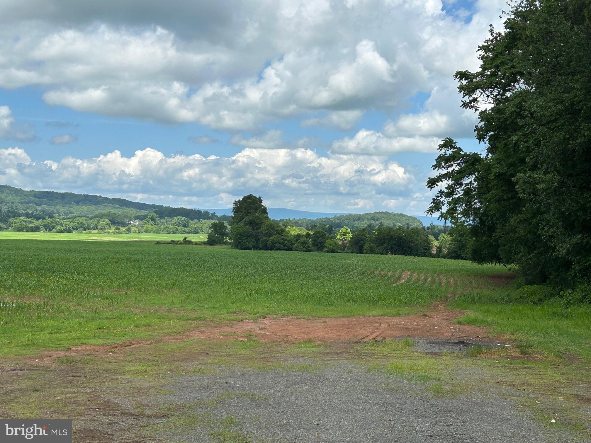 10674 Ada Road Marshall, VA 20115 - Photo 7 of 35 a view of a golf course with an trees