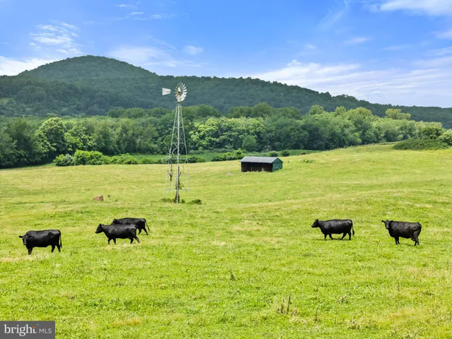 a view of a mountain range with lush green forest