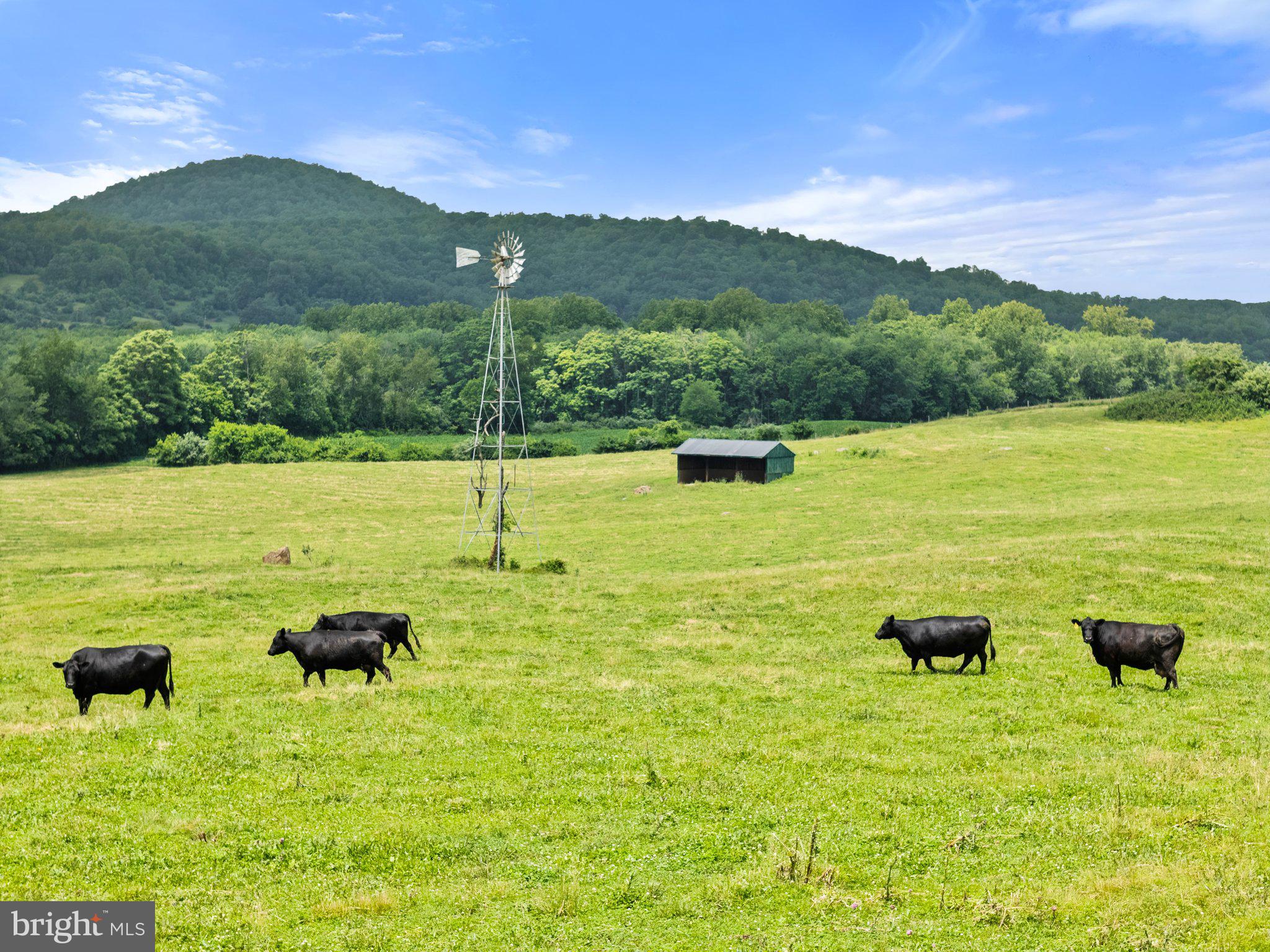 10674 Ada Road Marshall, VA 20115 - Photo 8 of 35 a view of an ocean view