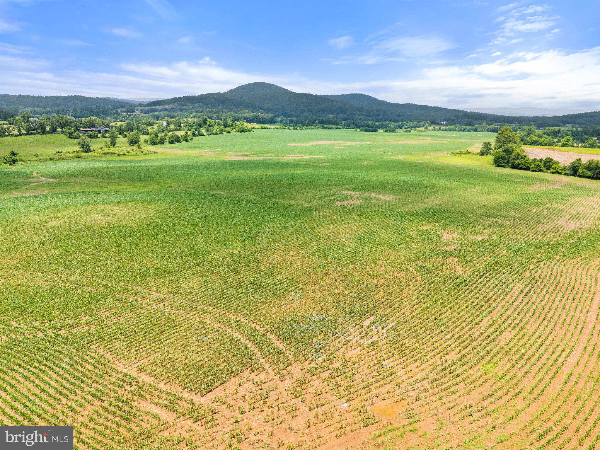 10674 Ada Road Marshall, VA 20115 - Photo 10 of 35 a view of an ocean view