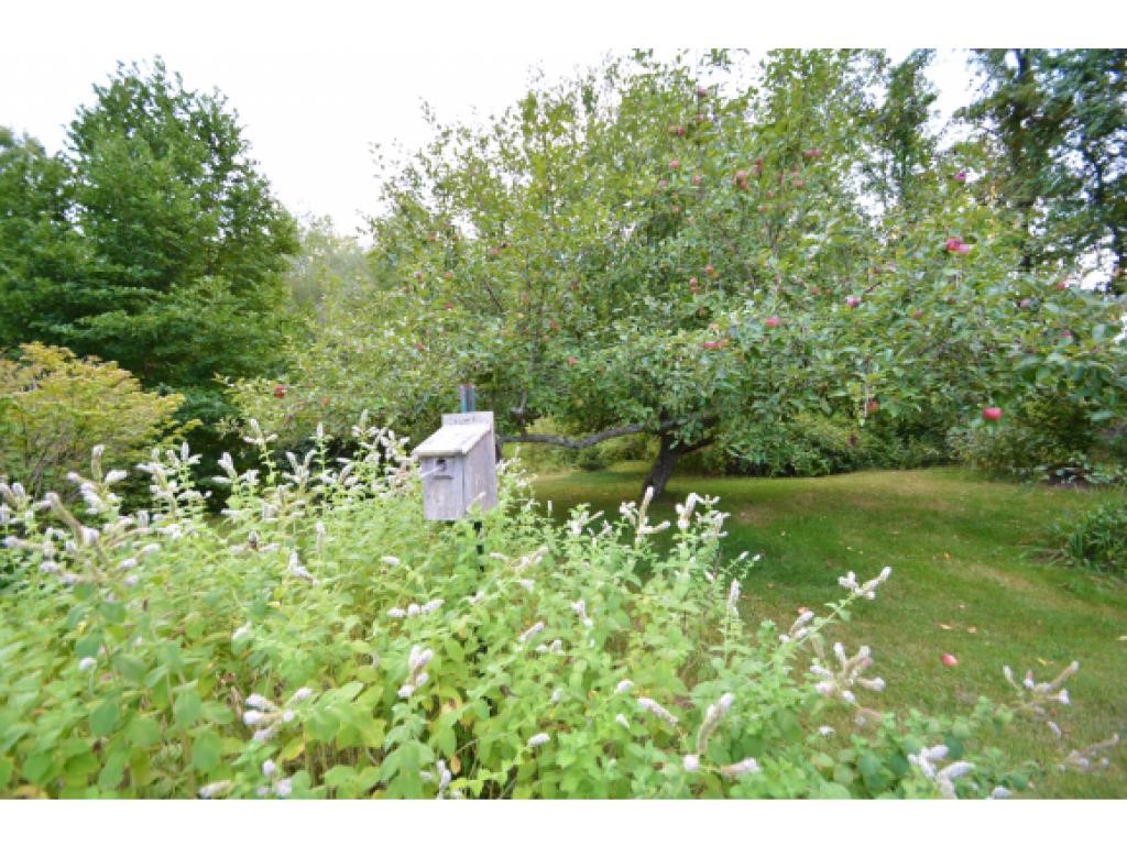 25 Crown Point Road Strafford, NH 03884 - Photo 29 of 36