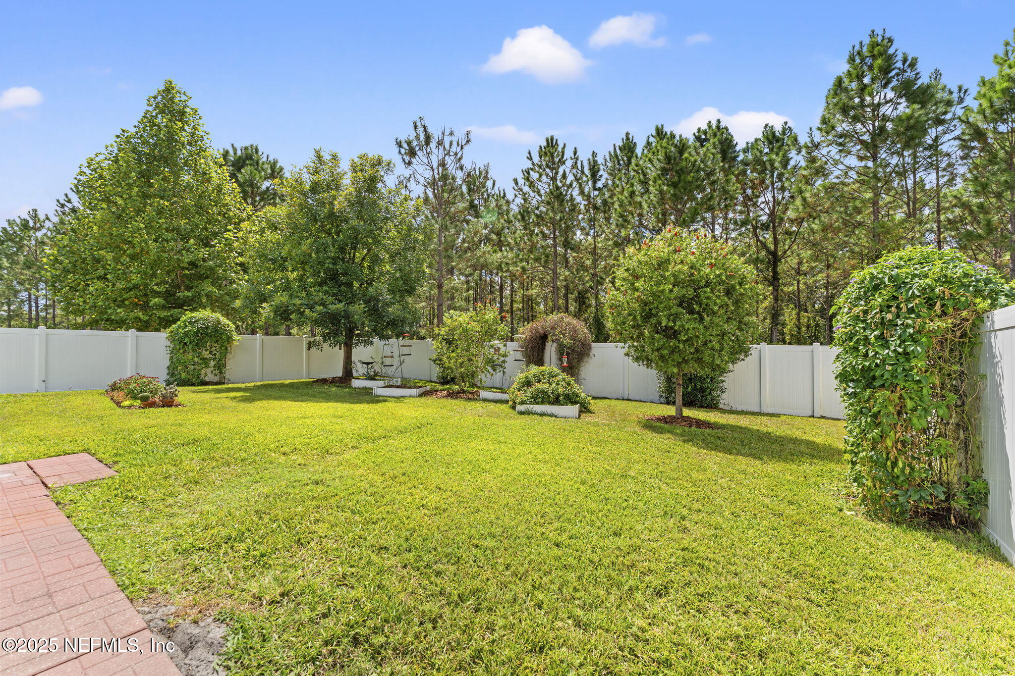 4139 Spring Creek Lane Middleburg, FL 32068 - Photo 17 of 25 Backyard