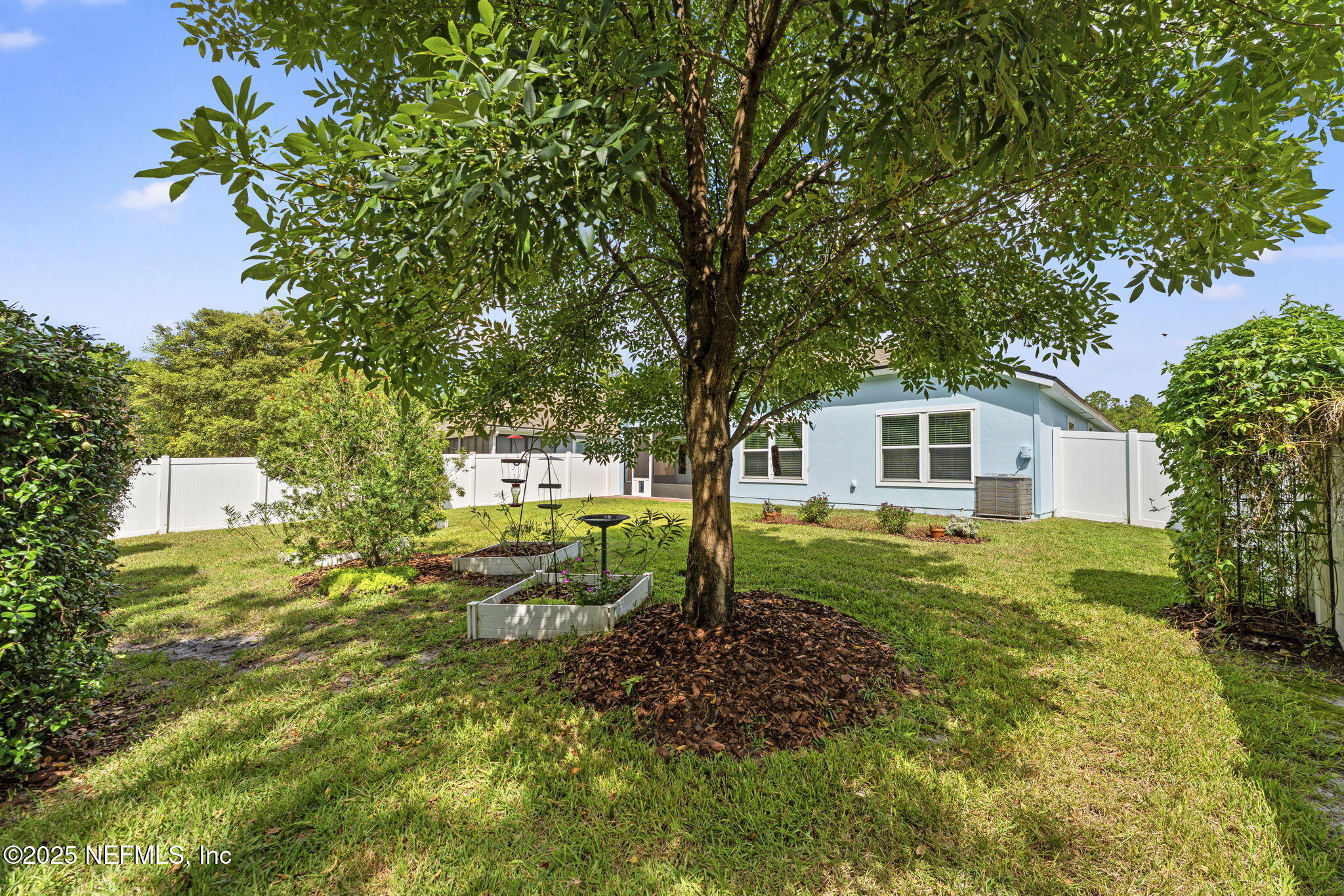 4139 Spring Creek Lane Middleburg, FL 32068 - Photo 20 of 25 Backyard