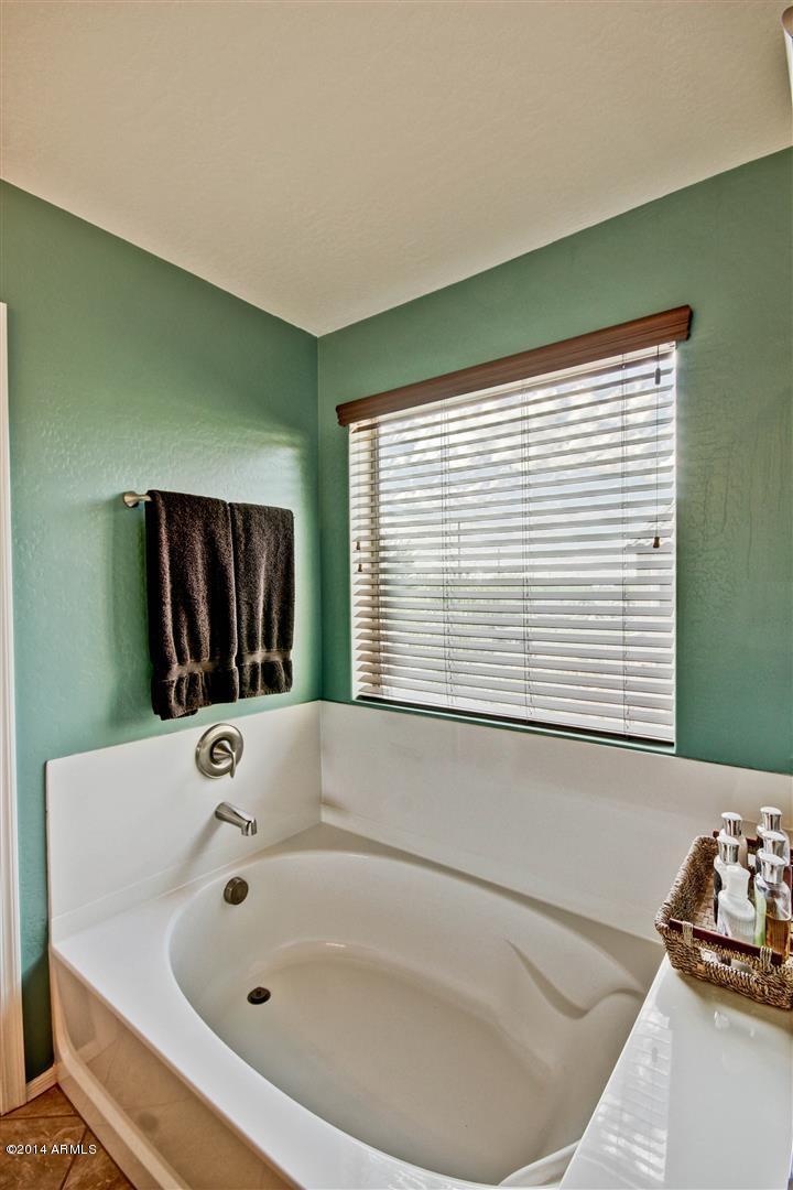 3224 East Ridgewood Lane Gilbert, AZ 85298 - Photo 20 of 33 MASTER TUB