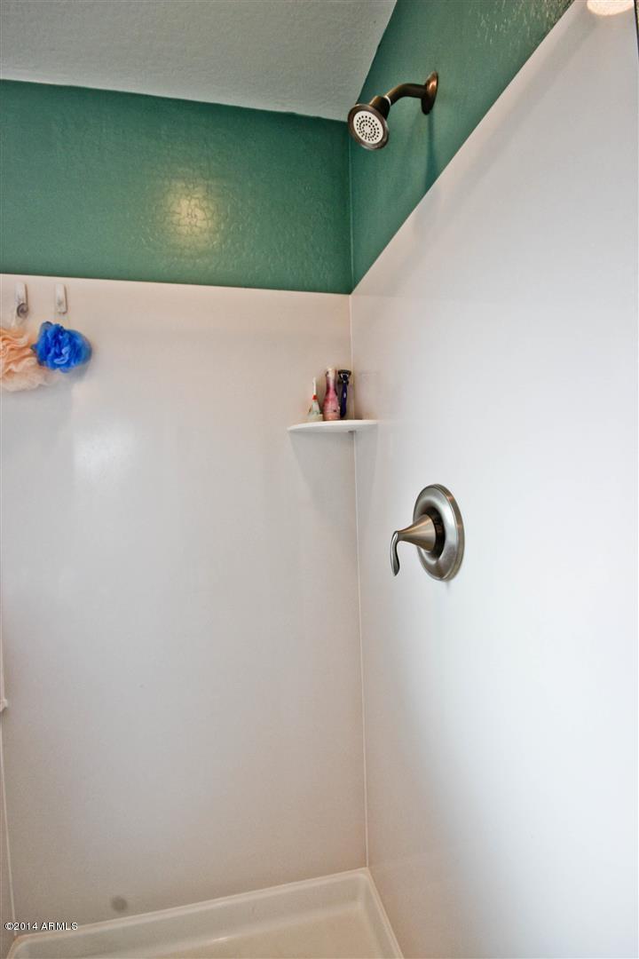 3224 East Ridgewood Lane Gilbert, AZ 85298 - Photo 21 of 33 MASTER SHOWER