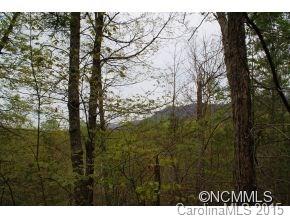 Lot 78 Overlook Road, Unit 78 Saluda, NC 28773 - Photo 1 of 8 Gallery Image 1