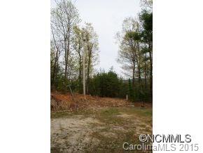 Lot 78 Overlook Road, Unit 78 Saluda, NC 28773 - Photo 3 of 8 Gallery Image 3