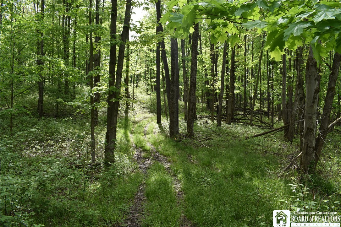 10133 Edward Corners Road Perrysburg, NY 14129 - Photo 16 of 28
